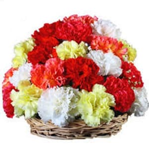36 Mix Carnations Arrangement